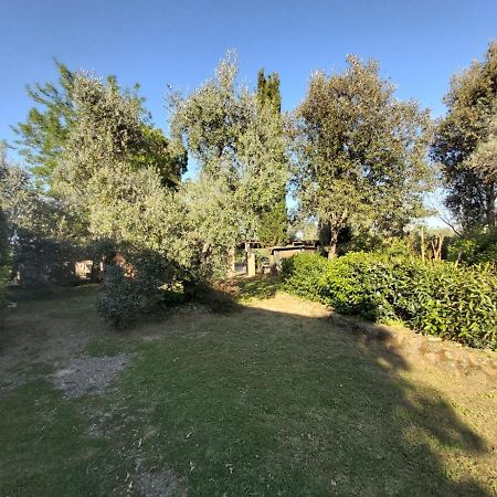 Вилла Tenuta Santa Maria Campagnatico Экстерьер фото