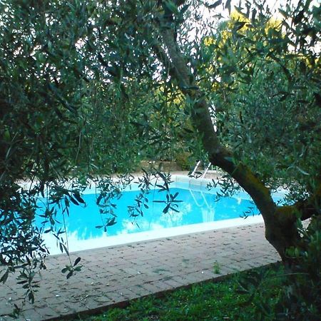 Вилла Tenuta Santa Maria Campagnatico Экстерьер фото