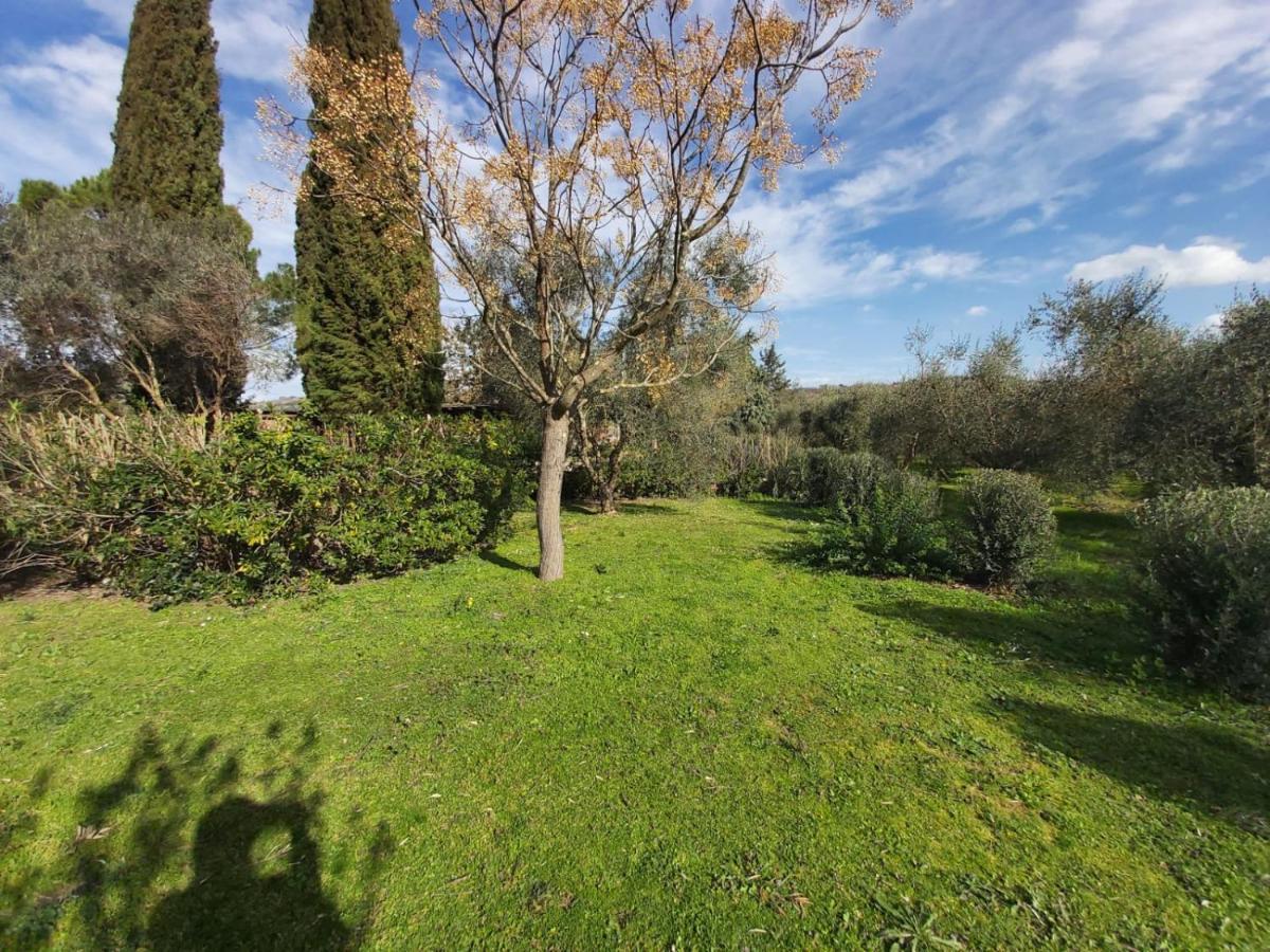 Вилла Tenuta Santa Maria Campagnatico Экстерьер фото