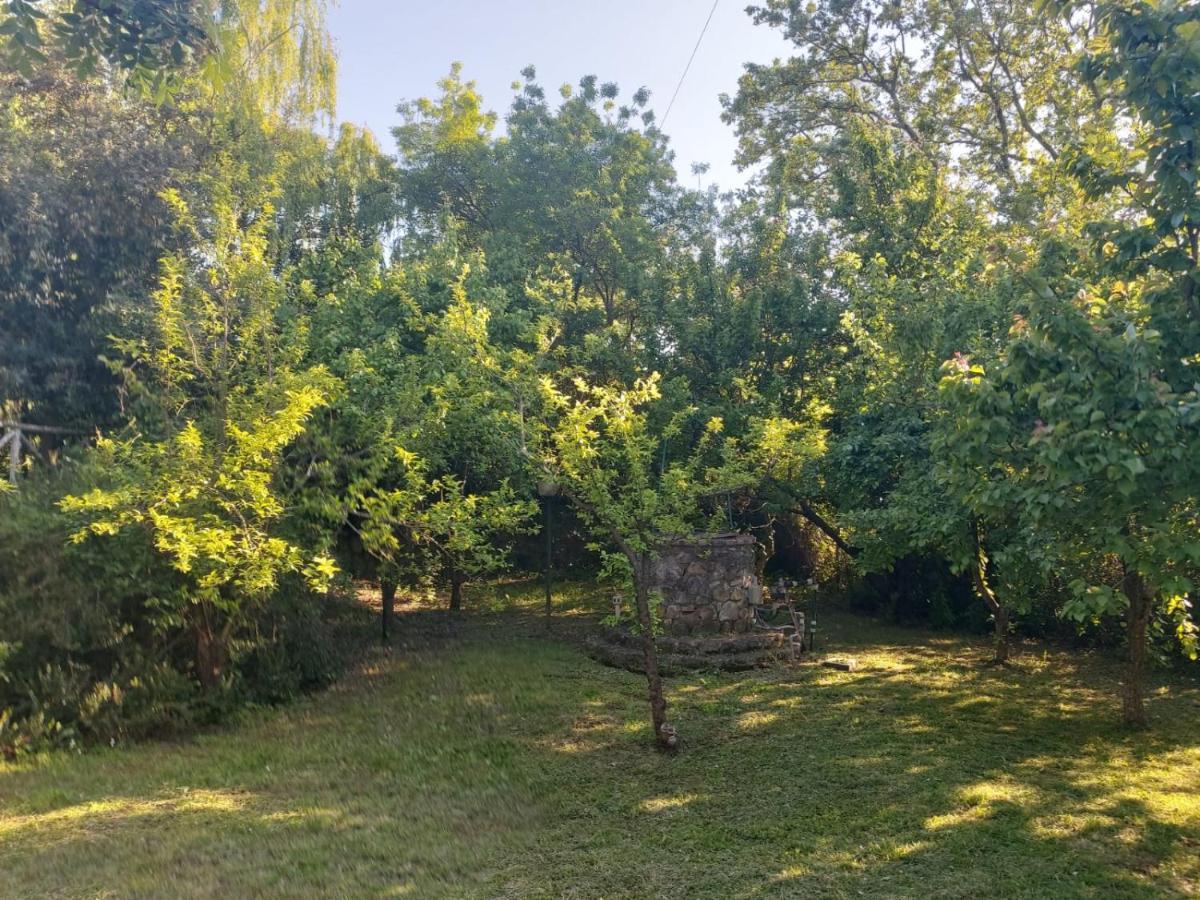 Вилла Tenuta Santa Maria Campagnatico Экстерьер фото