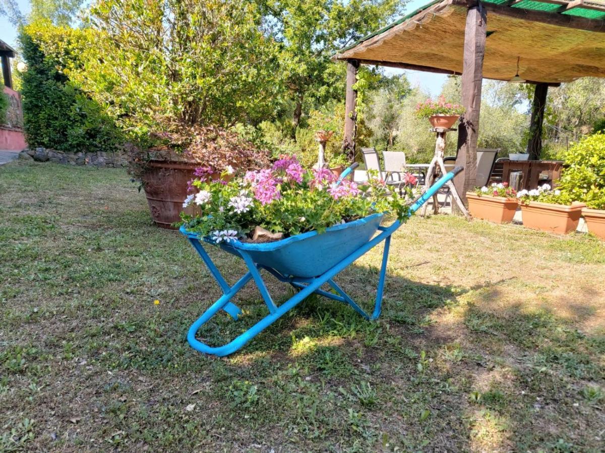 Вилла Tenuta Santa Maria Campagnatico Экстерьер фото