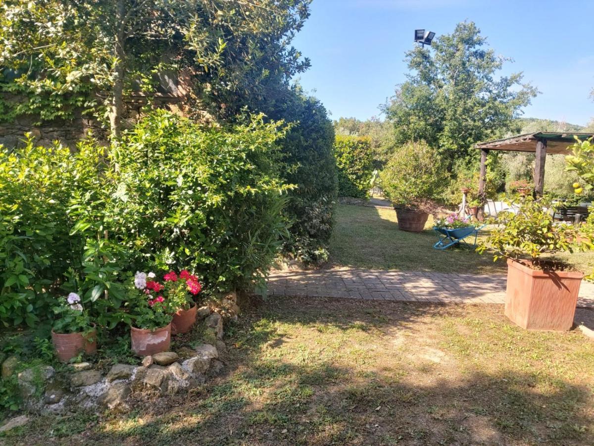 Вилла Tenuta Santa Maria Campagnatico Экстерьер фото